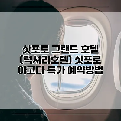 삿포로 그랜드 호텔 (럭셔리호텔) 삿포로 아고다 특가 예약방법