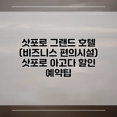 삿포로 그랜드 호텔 (비즈니스 편의시설) 삿포로 아고다 할인 예약팁
