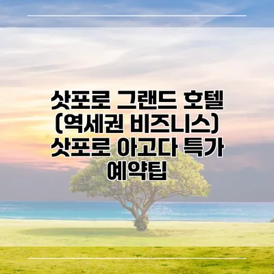 삿포로 그랜드 호텔 (역세권 비즈니스) 삿포로 아고다 특가 예약팁