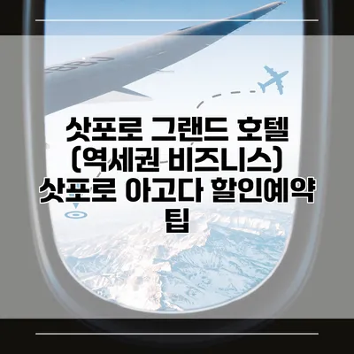 삿포로 그랜드 호텔 (역세권 비즈니스) 삿포로 아고다 할인예약 팁