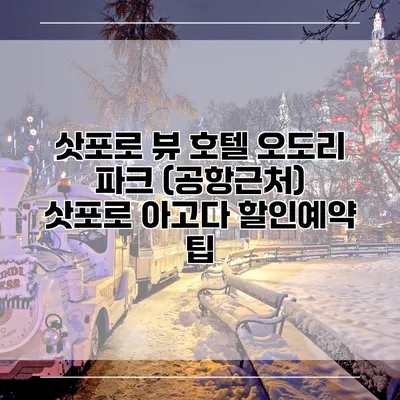 삿포로 뷰 호텔 오도리 파크 (공항근처) 삿포로 아고다 할인예약 팁