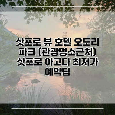 삿포로 뷰 호텔 오도리 파크 (관광명소근처) 삿포로 아고다 최저가 예약팁