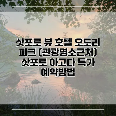 삿포로 뷰 호텔 오도리 파크 (관광명소근처) 삿포로 아고다 특가 예약방법