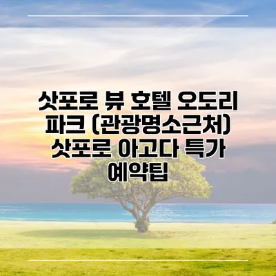 삿포로 뷰 호텔 오도리 파크 (관광명소근처) 삿포로 아고다 특가 예약팁