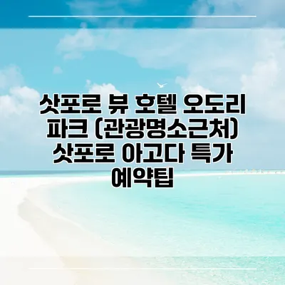 삿포로 뷰 호텔 오도리 파크 (관광명소근처) 삿포로 아고다 특가 예약팁