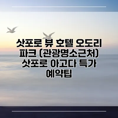 삿포로 뷰 호텔 오도리 파크 (관광명소근처) 삿포로 아고다 특가 예약팁