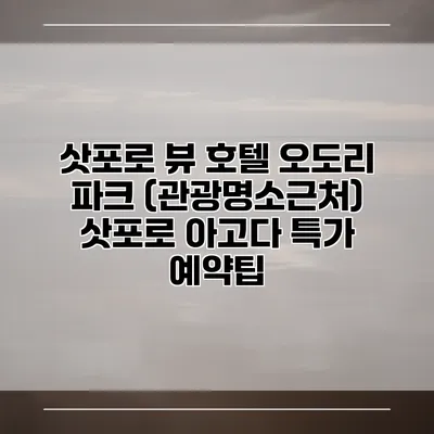 삿포로 뷰 호텔 오도리 파크 (관광명소근처) 삿포로 아고다 특가 예약팁