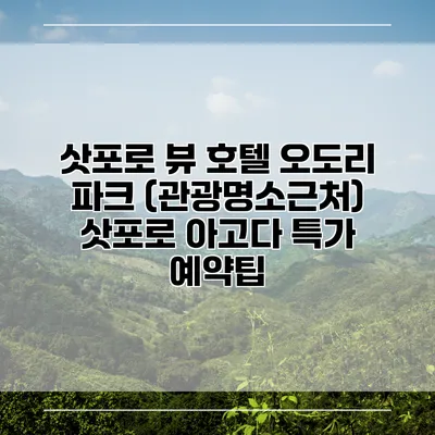 삿포로 뷰 호텔 오도리 파크 (관광명소근처) 삿포로 아고다 특가 예약팁