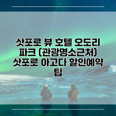 삿포로 뷰 호텔 오도리 파크 (관광명소근처) 삿포로 아고다 할인예약 팁
