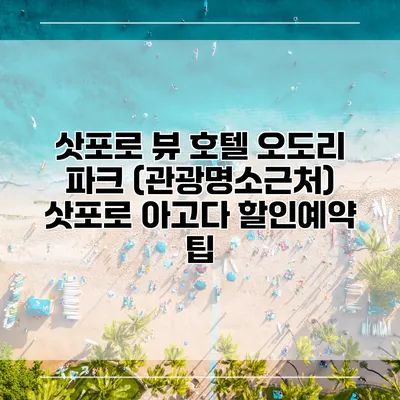 삿포로 뷰 호텔 오도리 파크 (관광명소근처) 삿포로 아고다 할인예약 팁