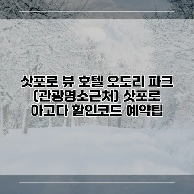 삿포로 뷰 호텔 오도리 파크 (관광명소근처) 삿포로 아고다 할인코드 예약팁