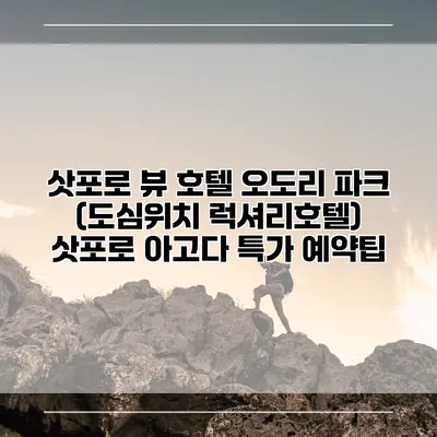 삿포로 뷰 호텔 오도리 파크 (도심위치 럭셔리호텔) 삿포로 아고다 특가 예약팁