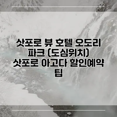 삿포로 뷰 호텔 오도리 파크 (도심위치) 삿포로 아고다 할인예약 팁