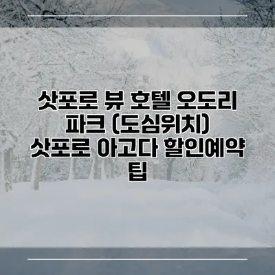 삿포로 뷰 호텔 오도리 파크 (도심위치) 삿포로 아고다 할인예약 팁