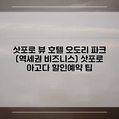 삿포로 뷰 호텔 오도리 파크 (역세권 비즈니스) 삿포로 아고다 할인예약 팁