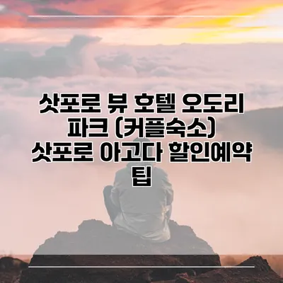 삿포로 뷰 호텔 오도리 파크 (커플숙소) 삿포로 아고다 할인예약 팁