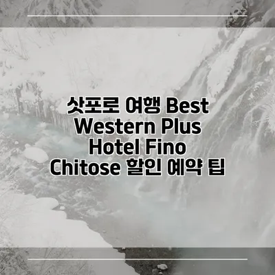 삿포로 여행 Best Western Plus Hotel Fino Chitose 할인 예약 팁