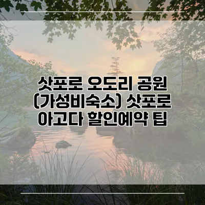 삿포로 오도리 공원 (가성비숙소) 삿포로 아고다 할인예약 팁