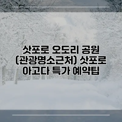 삿포로 오도리 공원 (관광명소근처) 삿포로 아고다 특가 예약팁
