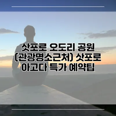 삿포로 오도리 공원 (관광명소근처) 삿포로 아고다 특가 예약팁