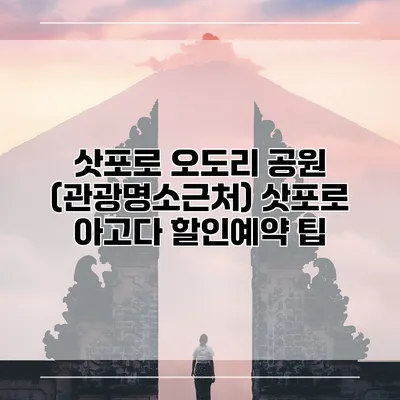 삿포로 오도리 공원 (관광명소근처) 삿포로 아고다 할인예약 팁