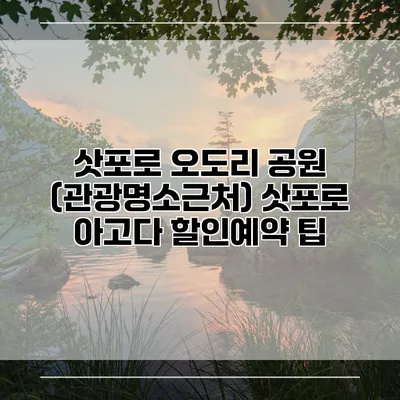 삿포로 오도리 공원 (관광명소근처) 삿포로 아고다 할인예약 팁