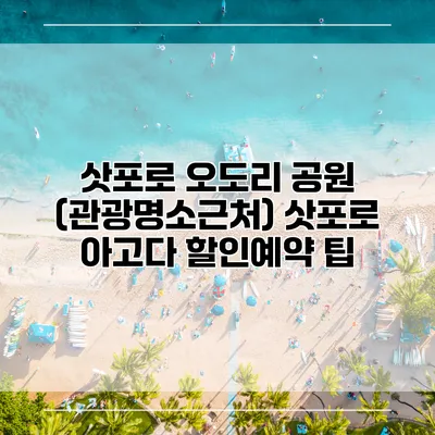 삿포로 오도리 공원 (관광명소근처) 삿포로 아고다 할인예약 팁