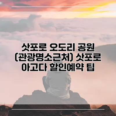 삿포로 오도리 공원 (관광명소근처) 삿포로 아고다 할인예약 팁