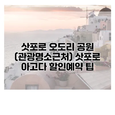삿포로 오도리 공원 (관광명소근처) 삿포로 아고다 할인예약 팁