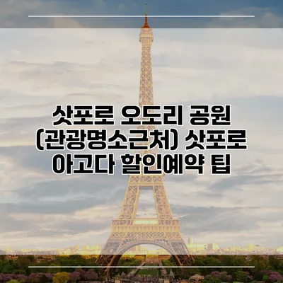삿포로 오도리 공원 (관광명소근처) 삿포로 아고다 할인예약 팁