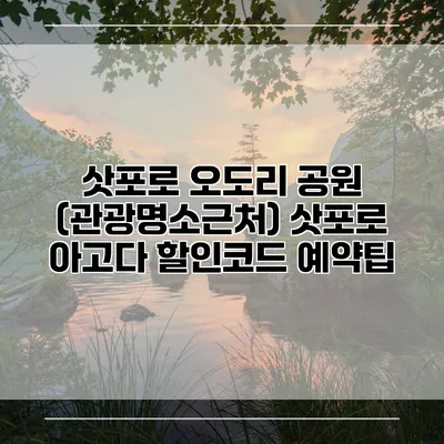 삿포로 오도리 공원 (관광명소근처) 삿포로 아고다 할인코드 예약팁