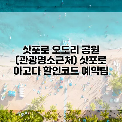 삿포로 오도리 공원 (관광명소근처) 삿포로 아고다 할인코드 예약팁