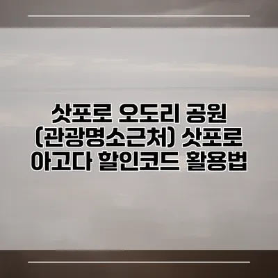 삿포로 오도리 공원 (관광명소근처) 삿포로 아고다 할인코드 활용법