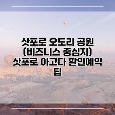 삿포로 오도리 공원 (비즈니스 중심지) 삿포로 아고다 할인예약 팁