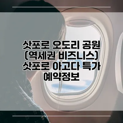 삿포로 오도리 공원 (역세권 비즈니스) 삿포로 아고다 특가 예약정보
