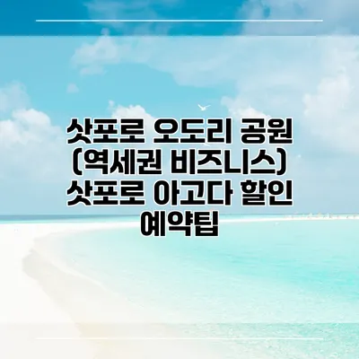 삿포로 오도리 공원 (역세권 비즈니스) 삿포로 아고다 할인 예약팁