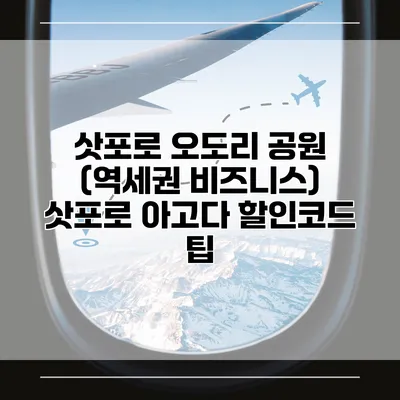 삿포로 오도리 공원 (역세권 비즈니스) 삿포로 아고다 할인코드 팁