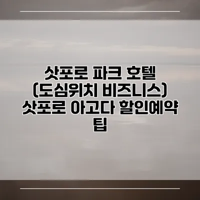 삿포로 파크 호텔 (도심위치 비즈니스) 삿포로 아고다 할인예약 팁