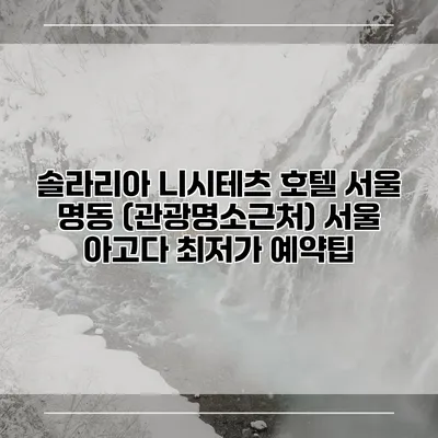 솔라리아 니시테츠 호텔 서울 명동 (관광명소근처) 서울 아고다 최저가 예약팁