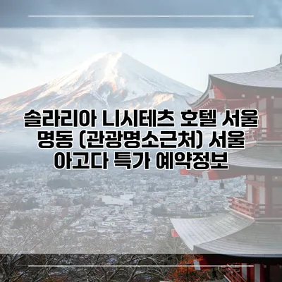 솔라리아 니시테츠 호텔 서울 명동 (관광명소근처) 서울 아고다 특가 예약정보