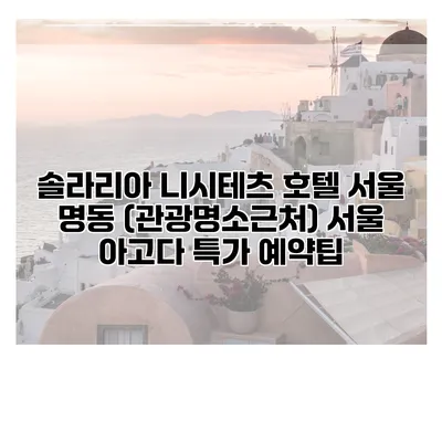 솔라리아 니시테츠 호텔 서울 명동 (관광명소근처) 서울 아고다 특가 예약팁