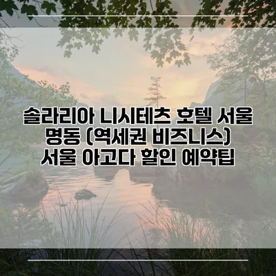 솔라리아 니시테츠 호텔 서울 명동 (역세권 비즈니스) 서울 아고다 할인 예약팁