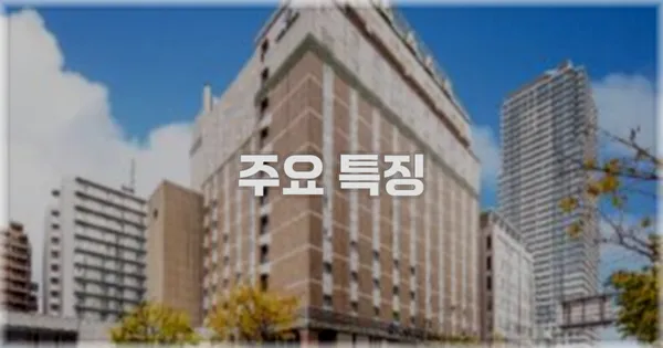 ✨ 주요 특징