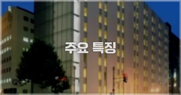 ✨ 주요 특징