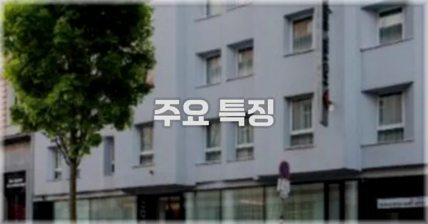 ✨ 주요 특징