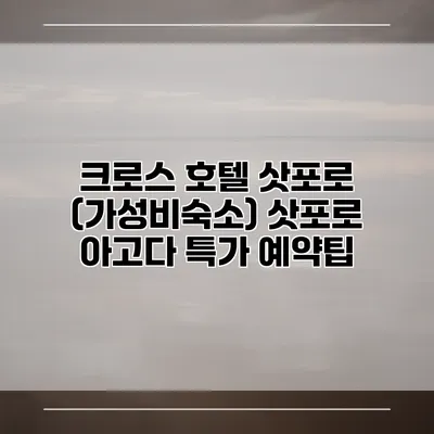 크로스 호텔 삿포로 (가성비숙소) 삿포로 아고다 특가 예약팁