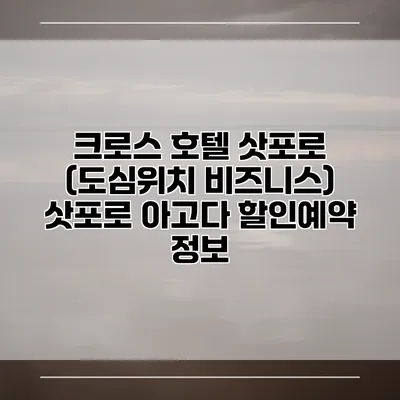 크로스 호텔 삿포로 (도심위치 비즈니스) 삿포로 아고다 할인예약 정보