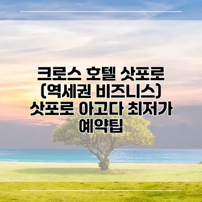 크로스 호텔 삿포로 (역세권 비즈니스) 삿포로 아고다 최저가 예약팁