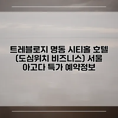 트레블로지 명동 시티홀 호텔 (도심위치 비즈니스) 서울 아고다 특가 예약정보