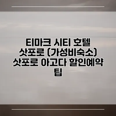 티마크 시티 호텔 삿포로 (가성비숙소) 삿포로 아고다 할인예약 팁